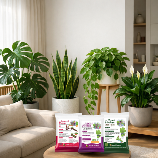 Complete Plant Health & Growth Combo