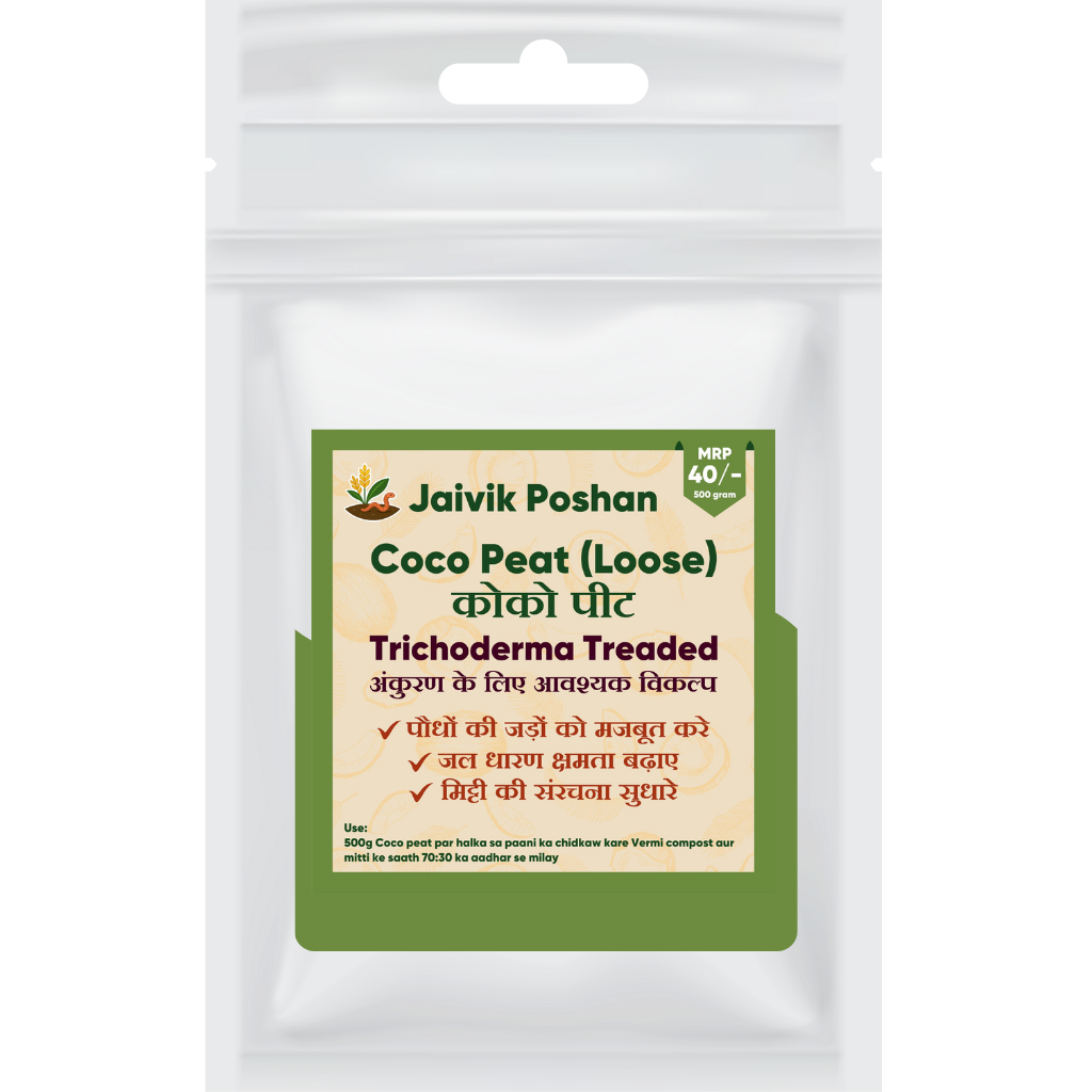 Starter Vegetable Growing Kit