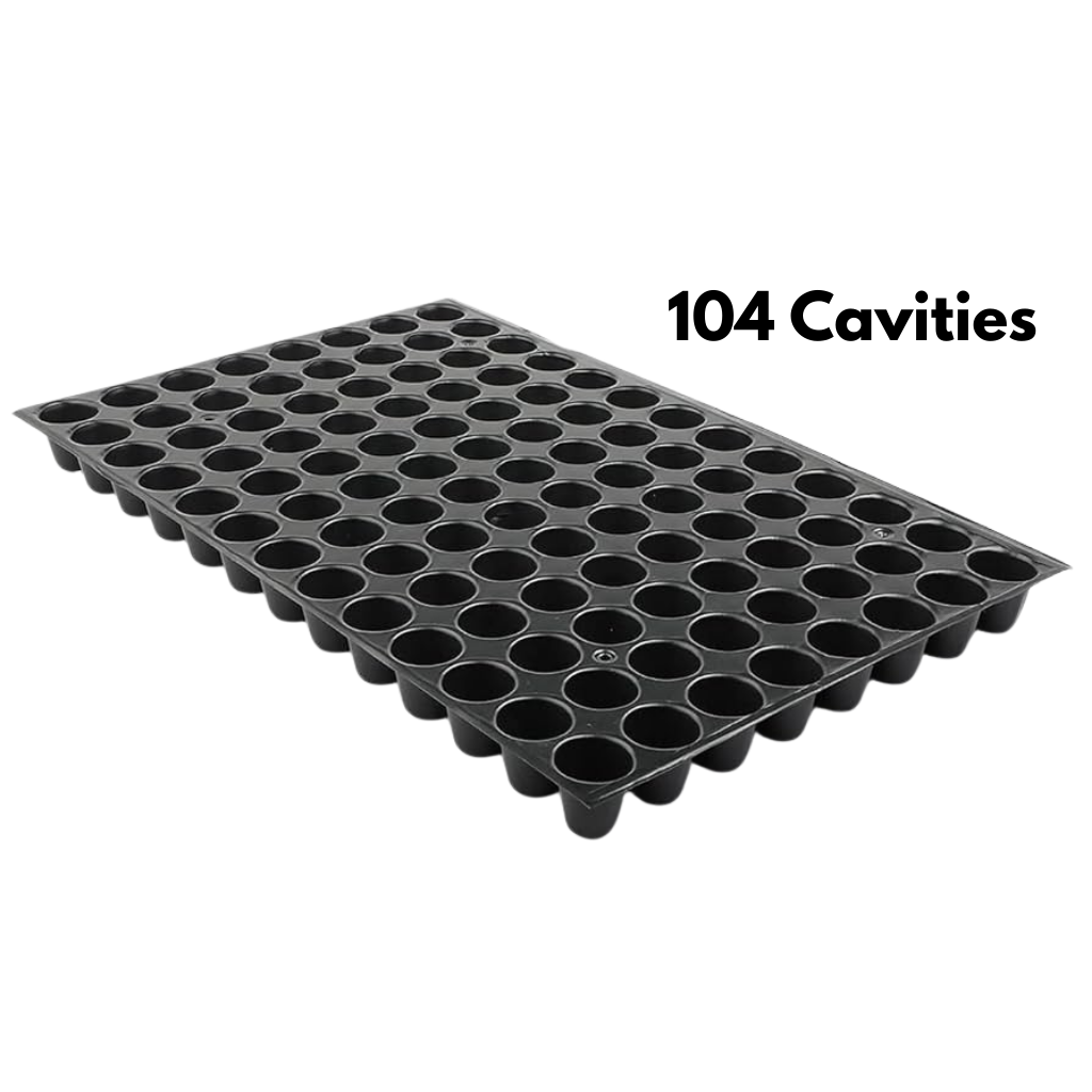 Seed Germination Tray