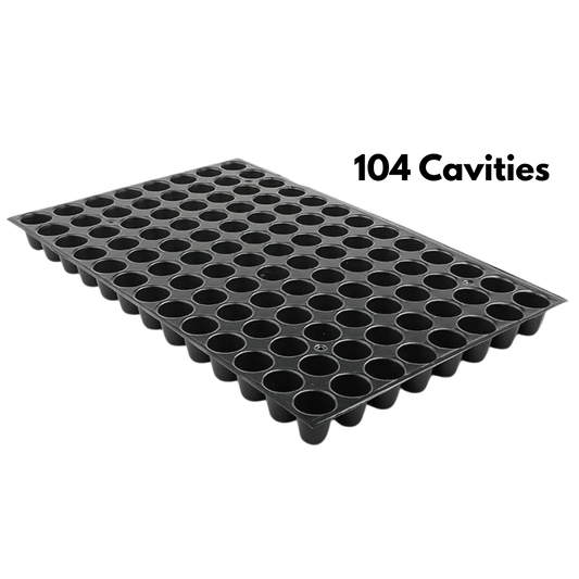 Seed Germination Tray