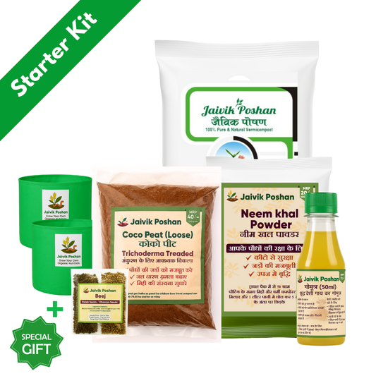 Starter Vegetable Growing Kit