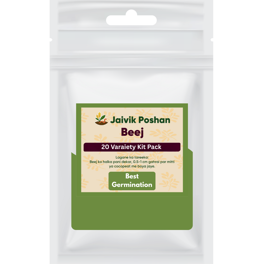 Vegetable Seeds Combo Kit (20 Variety)