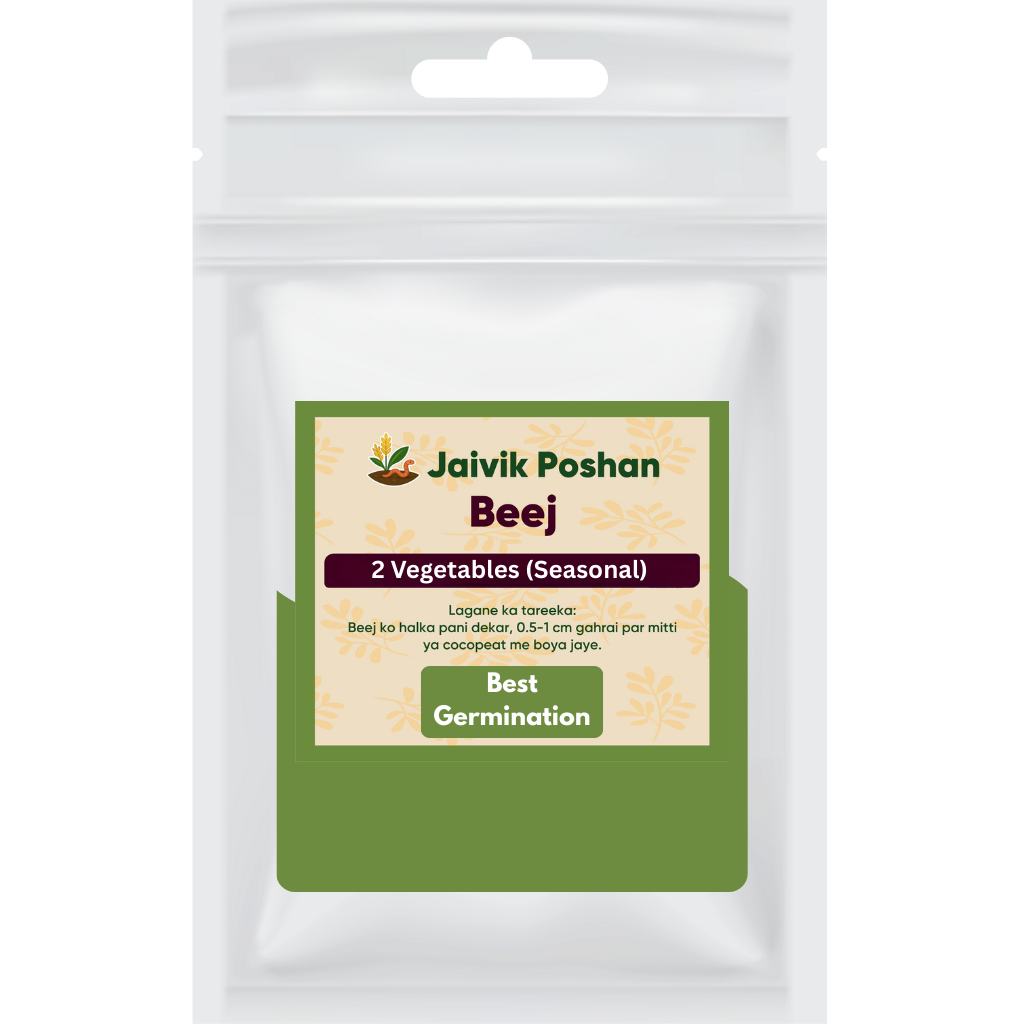 Starter Vegetable Growing Kit