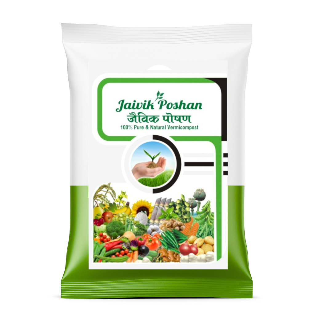 Starter Vegetable Growing Kit