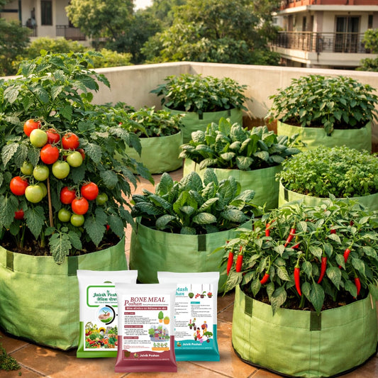 Vegetable & Fruiting Nutrition Combo