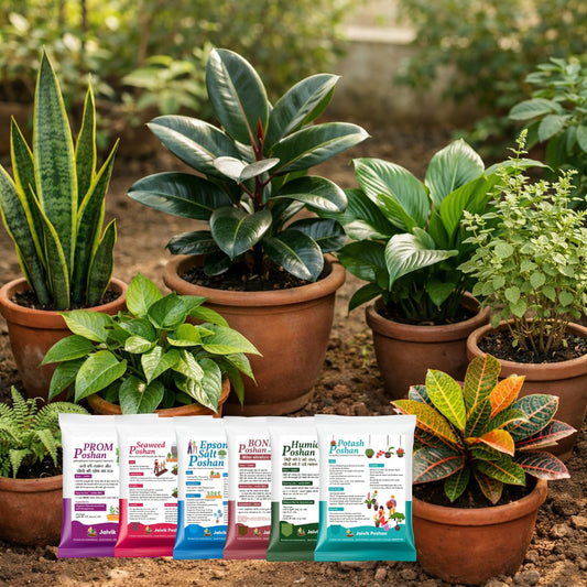 Complete Plant Nutrition Value Combo