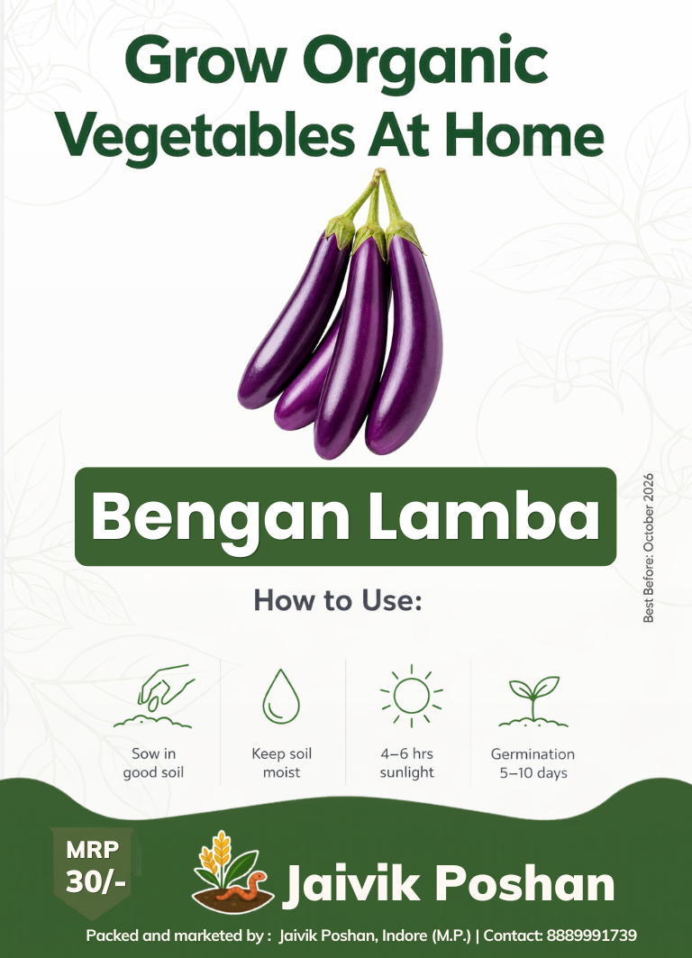 Lamba Bengan - Long Brinjal
