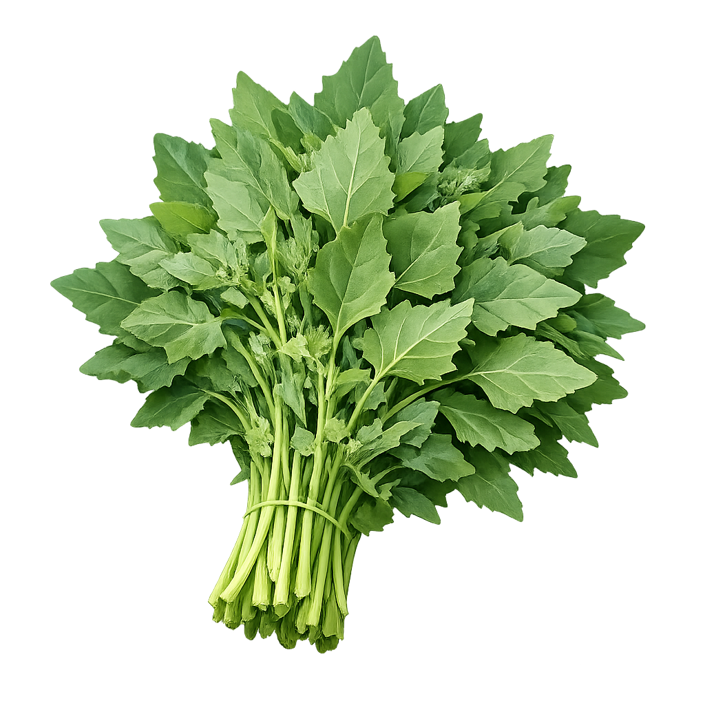 Bathua Seeds