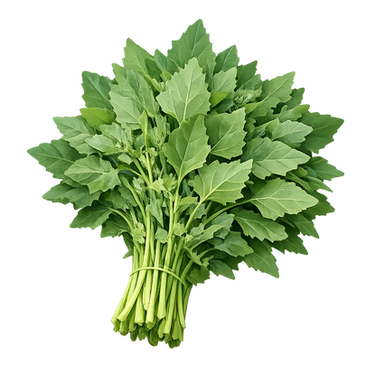 Bathua Seeds