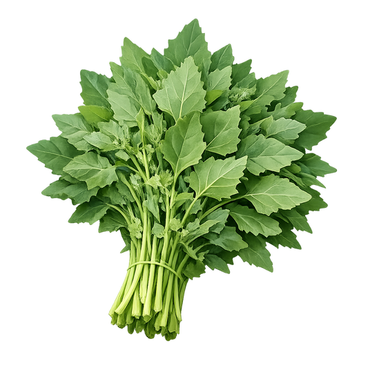 Bathua Seeds