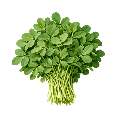 Methi - Fenugreek