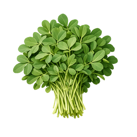 Methi - Fenugreek