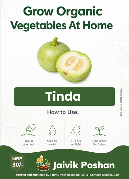 Tinda - Apple Gourd