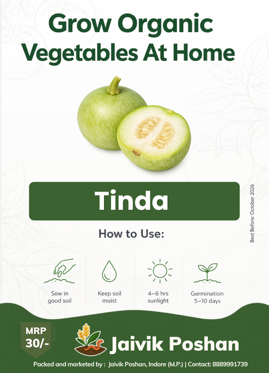 Tinda - Apple Gourd