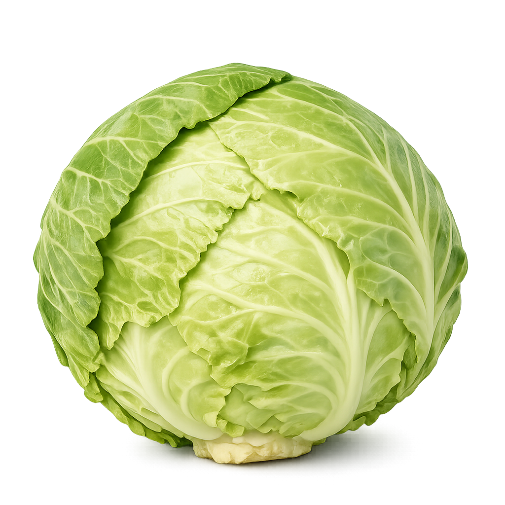 Patta Gobhi - Cabbage