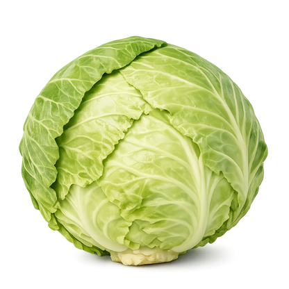 Patta Gobhi - Cabbage