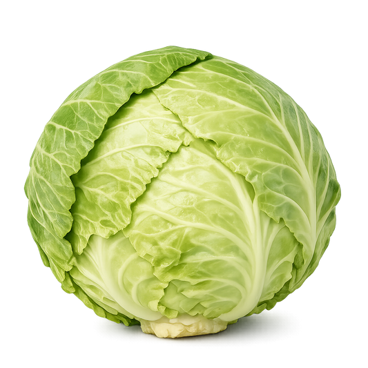 Patta Gobhi - Cabbage