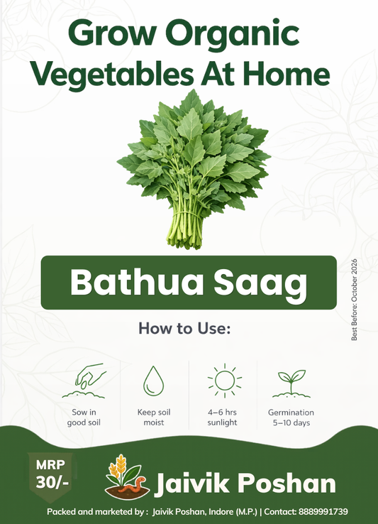 Bathua Seeds