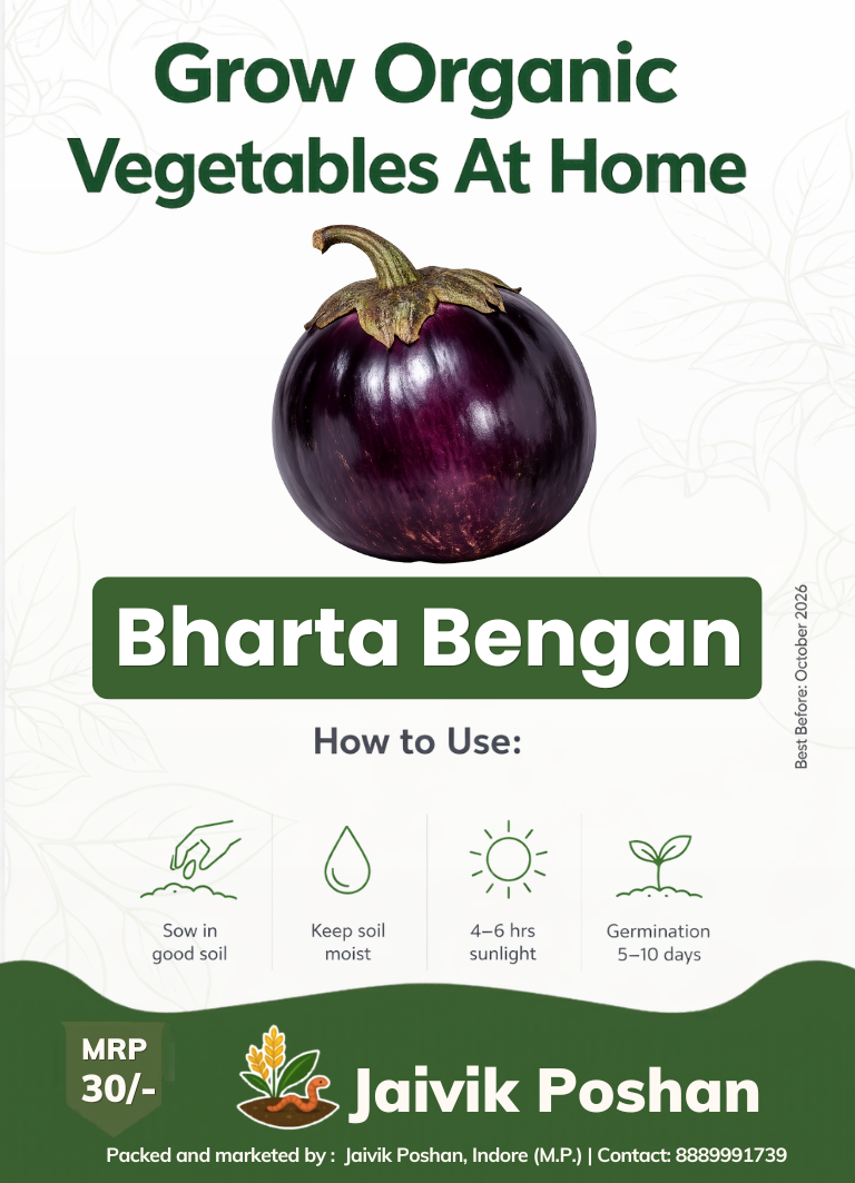 Bharta Bengan - Bharta Brinjal