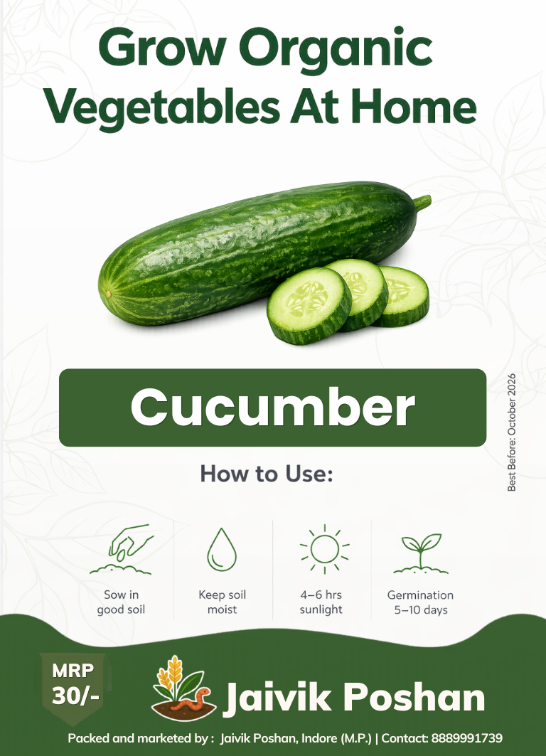 Kakdi - Cucumber