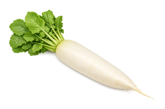 Mooli - Radish