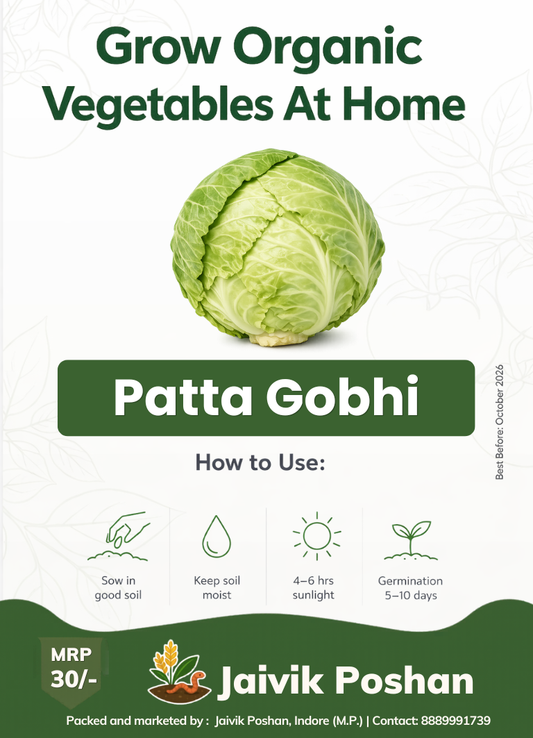 Patta Gobhi - Cabbage