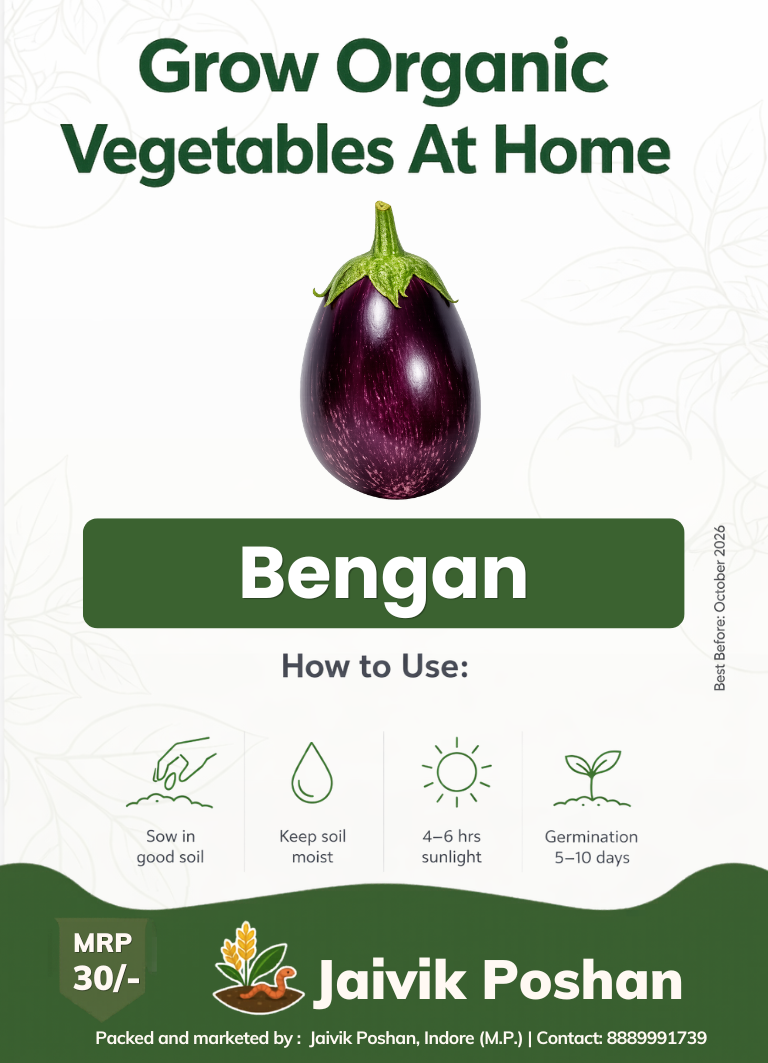Bengan - Brinjal