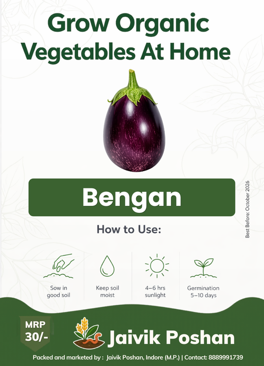 Bengan - Brinjal