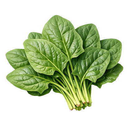 Palak - Spinach