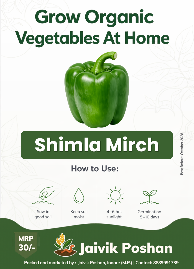 Shimla Mirch - Capsicum