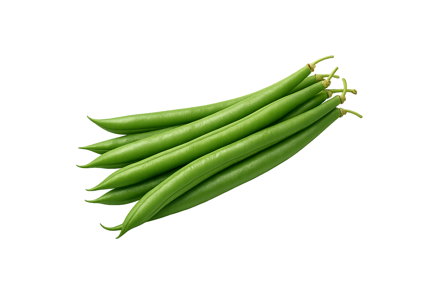 French Beans